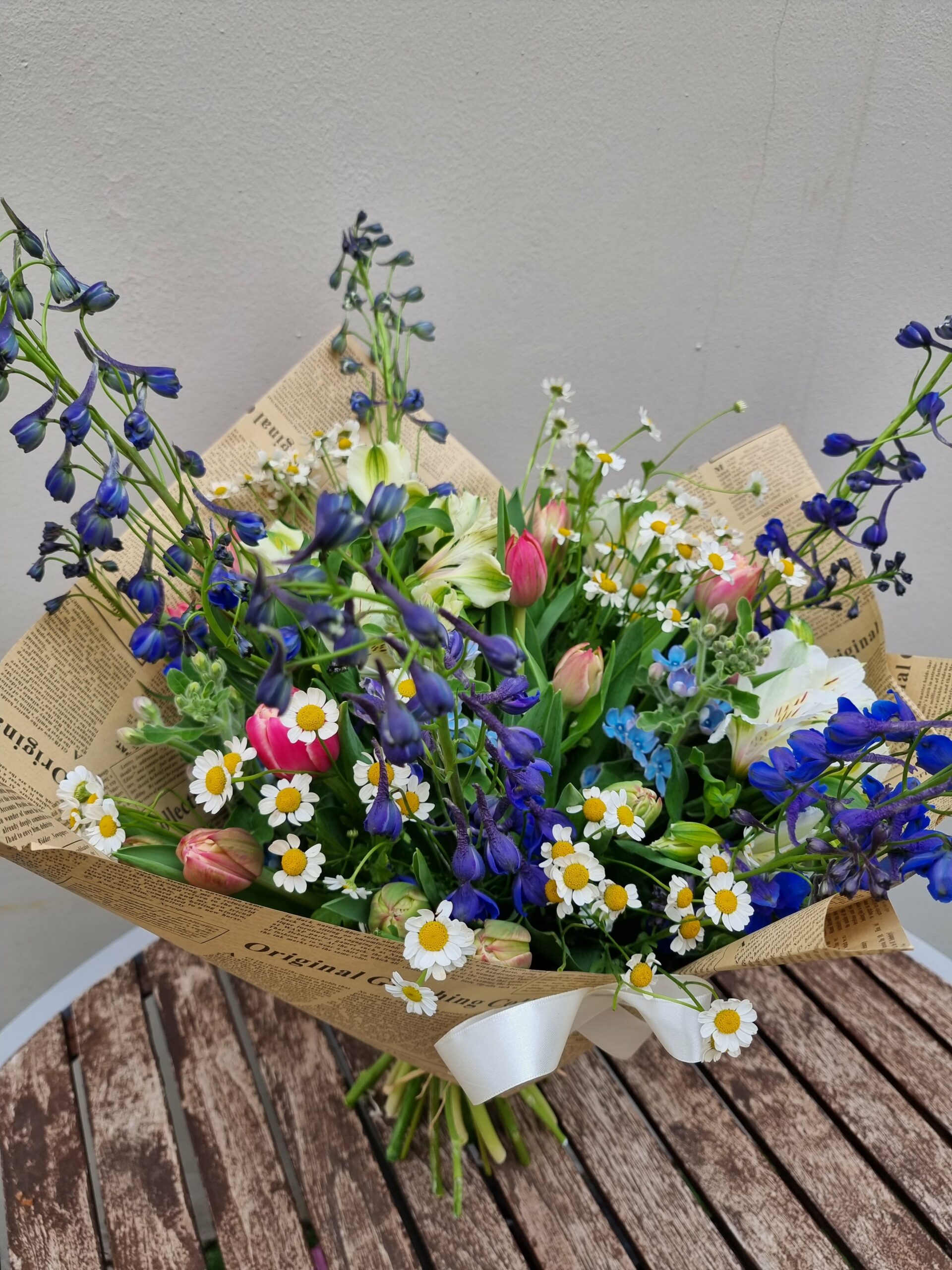 ⁦Dolfinum Still⁩ – תמונה ⁦2⁩