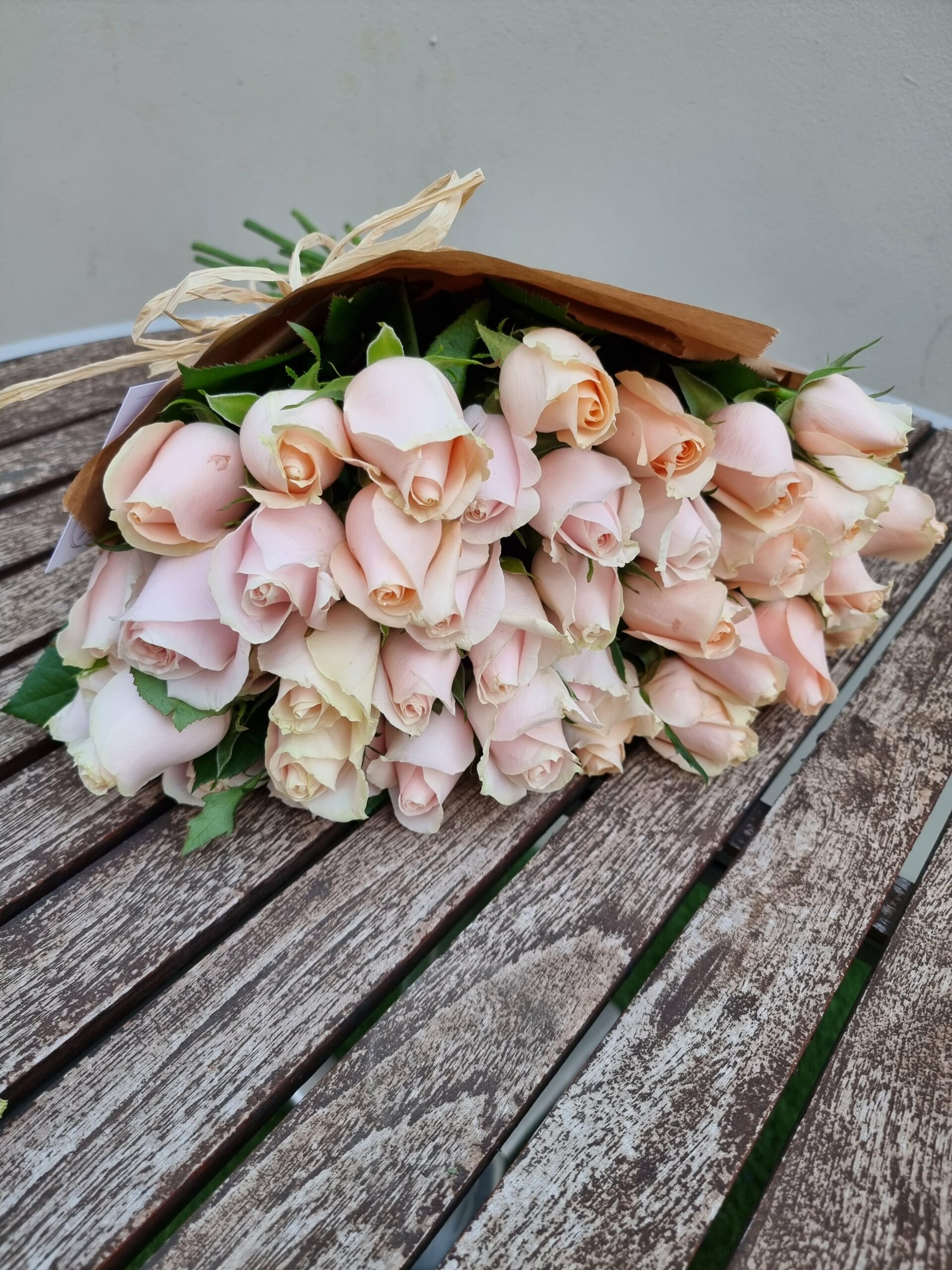 ⁦Pink Roses⁩ – תמונה ⁦2⁩