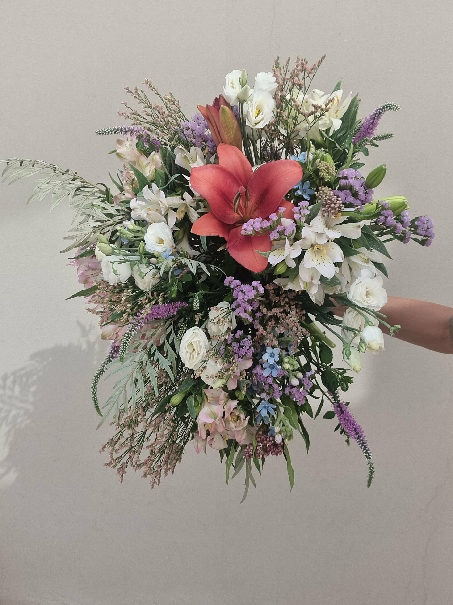 ⁦Red Lily ♥️⁩ – תמונה ⁦2⁩